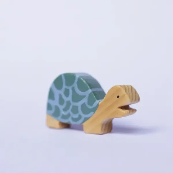 Schildkröte